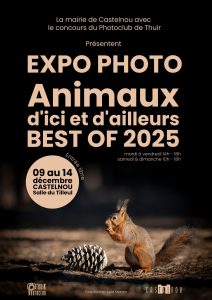 EXPO CASTELNOU 2025