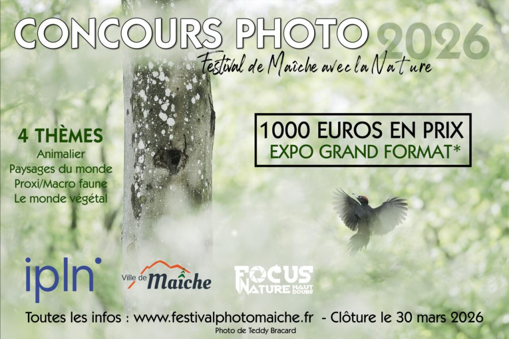 Concours photo