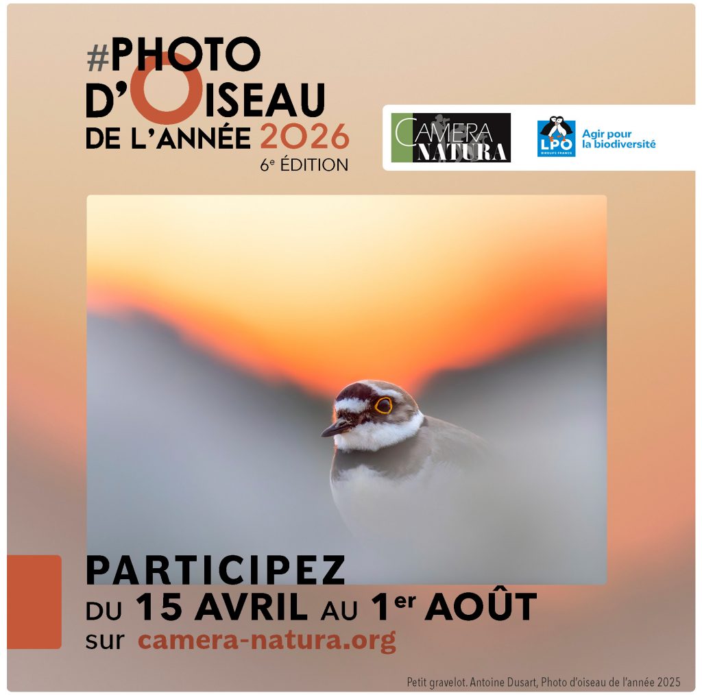 Concours CAMERA NATURA