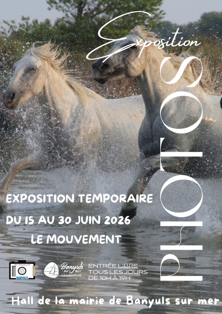 EXPO JUIN - Banyuls