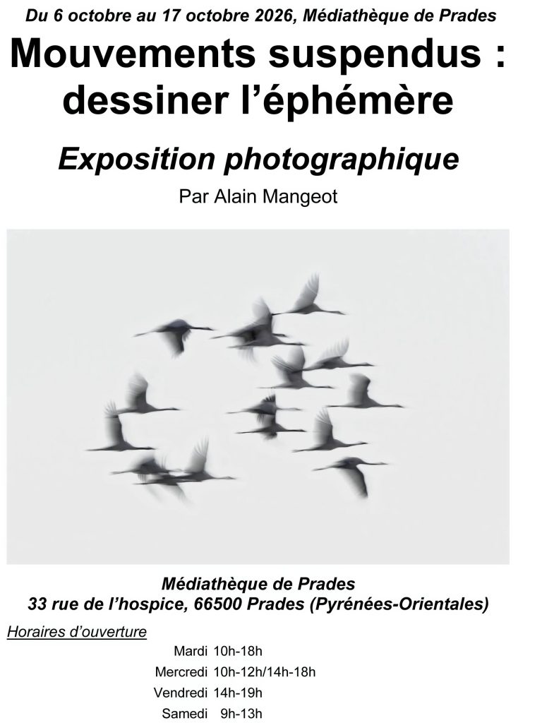 EXPO 2026